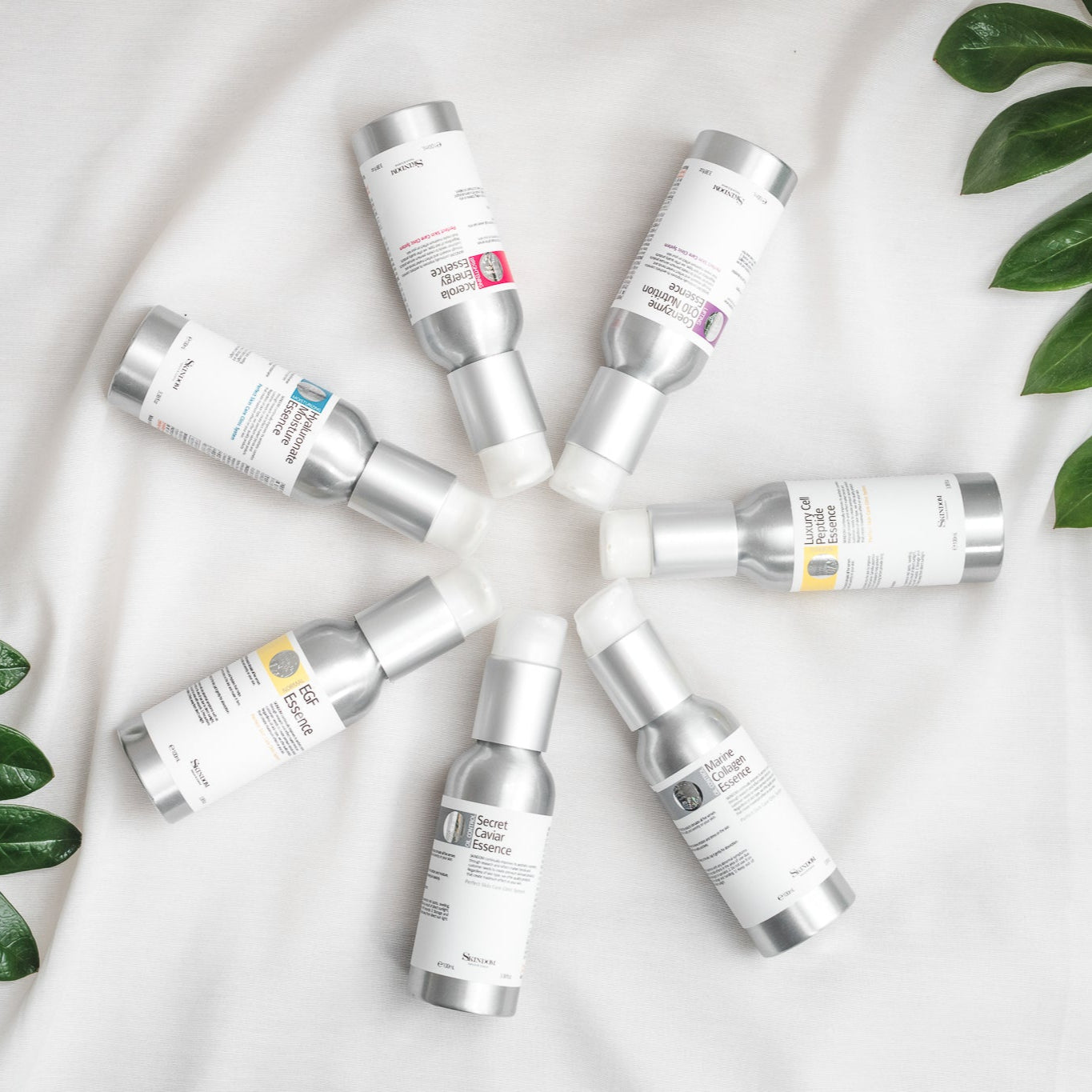 Coenzyme Q10 Nutrition Essence (100ml)